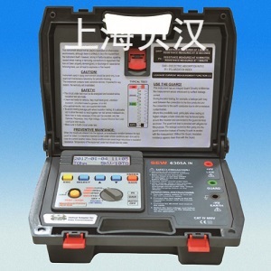 6305AIN絕緣電阻測(cè)試儀